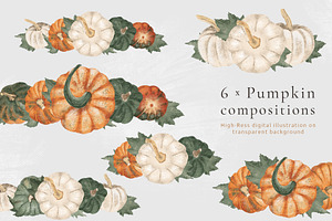 Pumpkins & Raccoons Graphic Set