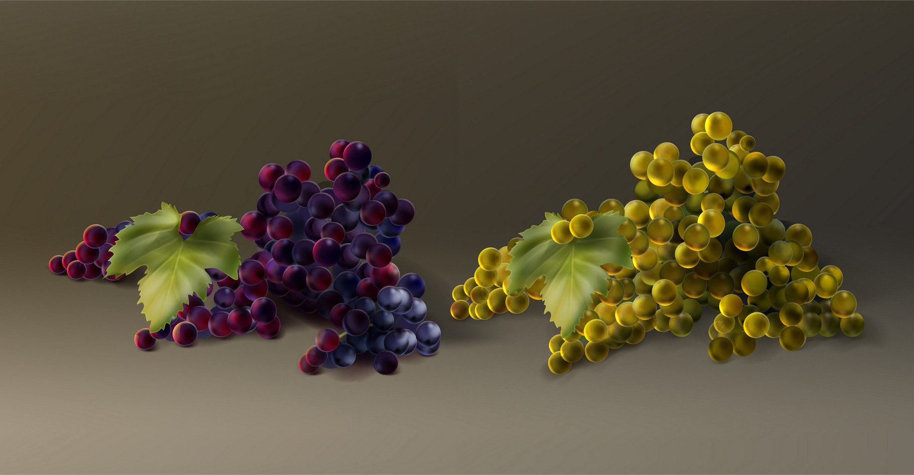 Bunch of grapes | Food Illustrations ~ Creative Market