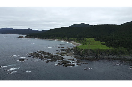 Top view of stone reefs off coast, a Nature Photo by Media Whale Stock