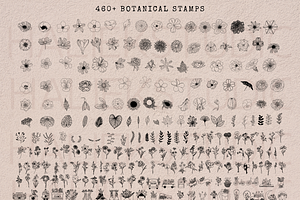 460 Procreate Stamps - Botanical