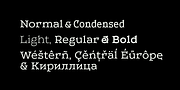 Leto Two, a Serif Font by Glen Jan (Thumbnail 3 of 10)