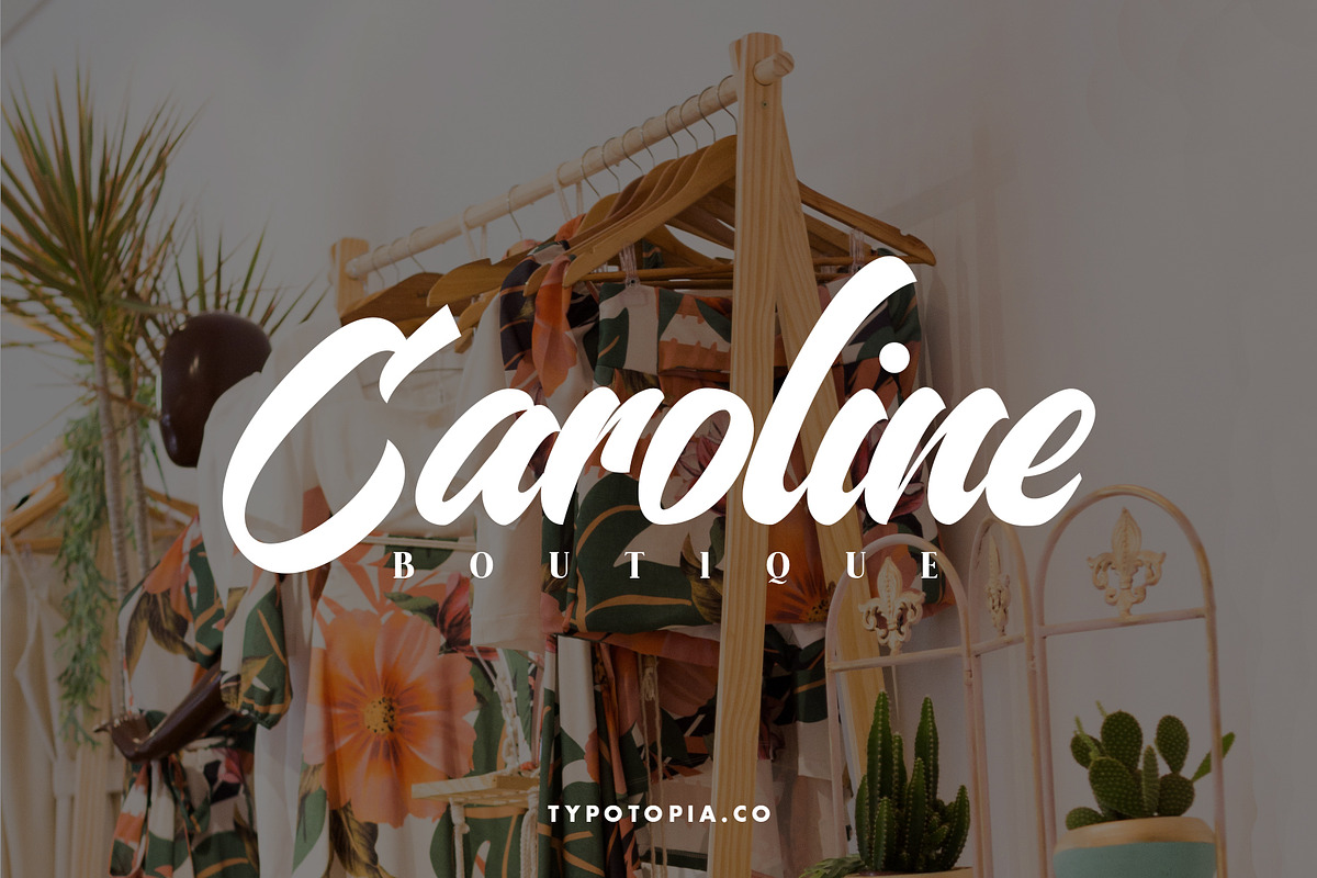 Sandye Script Font, a Script Font by edukka (Photo 2 of 7)