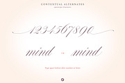 Juliette – Romantic Wedding Script, a Script Font by Blessed Print (Thumbnail 30 of 34)
