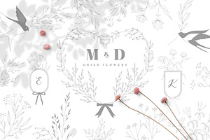 DRIED BOTANICALS COLLECTION