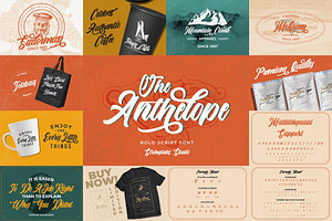 Bold Script Font Bundle Vol 6