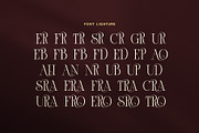 Band Elegant Luxury Serif Font, a Serif Font by Elegant Font (Thumbnail 8 of 8)