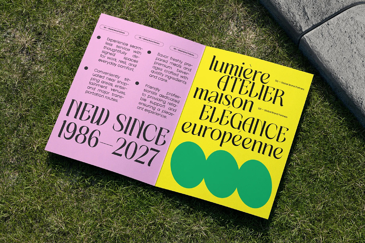 Matrixgi High-Contrast Decorative, a Serif Font by timelesstype.co (Photo 6 of 10)