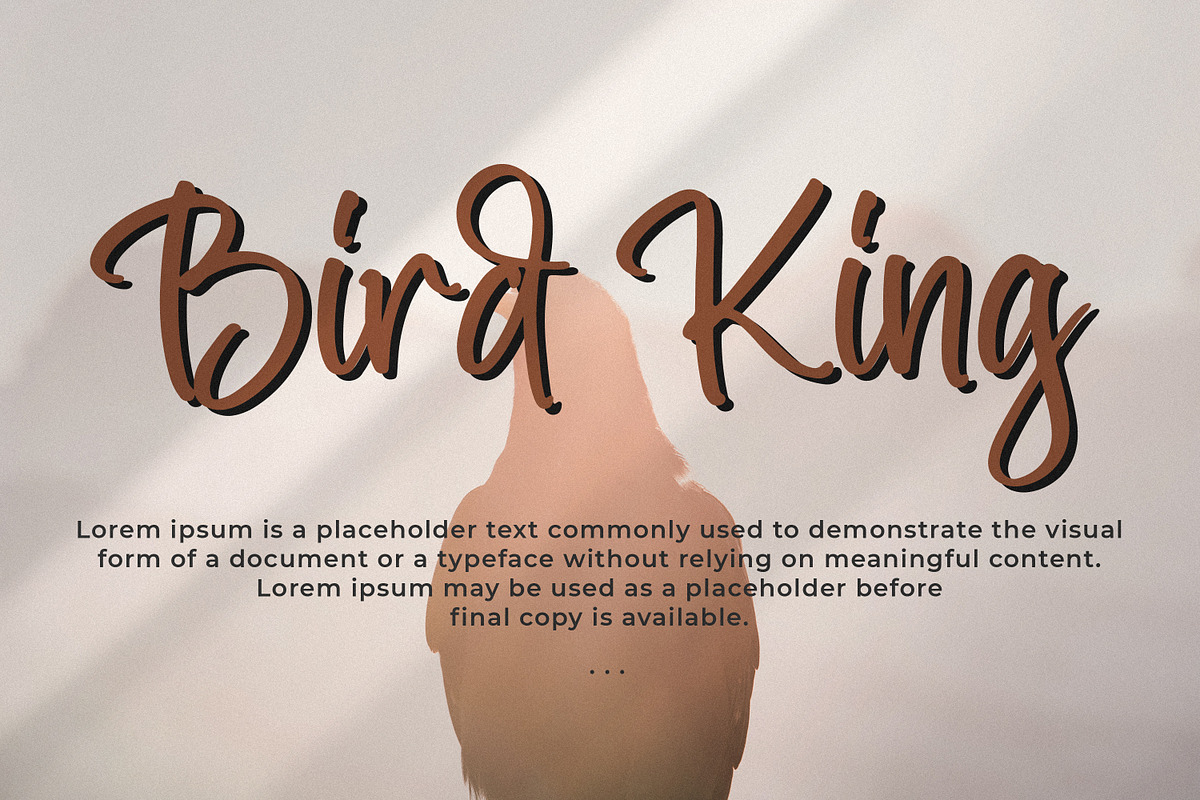 Shènttany, a Script Font by Integritype Studio (Photo 7 of 15)