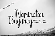 Naminator Bugarey - Monoline Font, a Script Font by Akcsel Tara (Thumbnail 1 of 9)