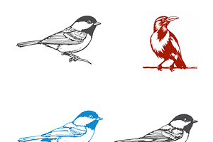 Dynamic Bird Illustrations Set, a Finance Illustration by CarWrap design