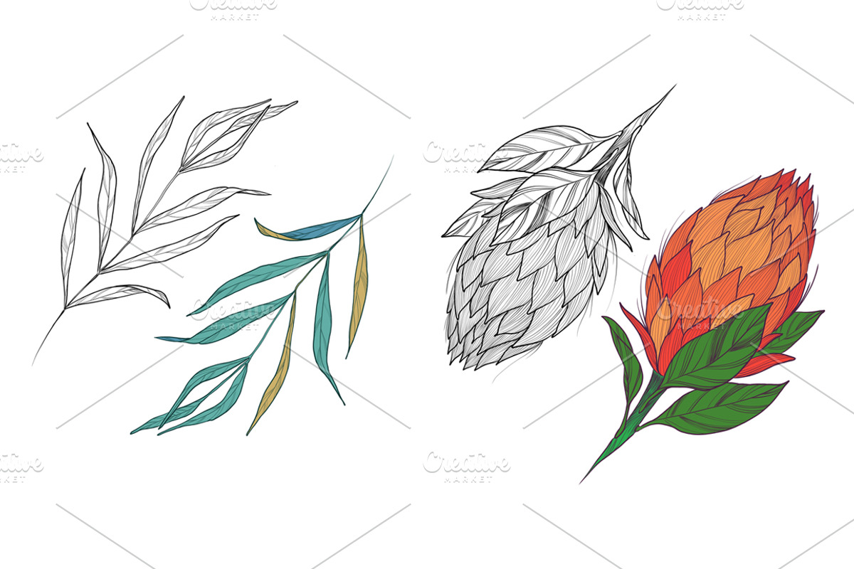 Detailed tropical leaves & Patterns, a Decorative Illustration by NKTKNS (Photo 4 of 5)