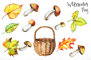 Mushrooms With A Basket Watercolor