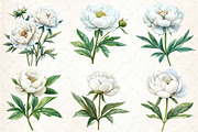 White Flowers Png Watercolor White P, an Illustration by DreamCafeArt (Thumbnail 2 of 7)