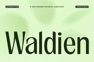 Waldien Modern Editorial Sans Font