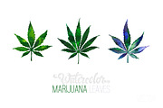 Weed. Stoner gadgets & accessories, a Healthcare Illustration by Margo Miller (Thumbnail 27 of 45)