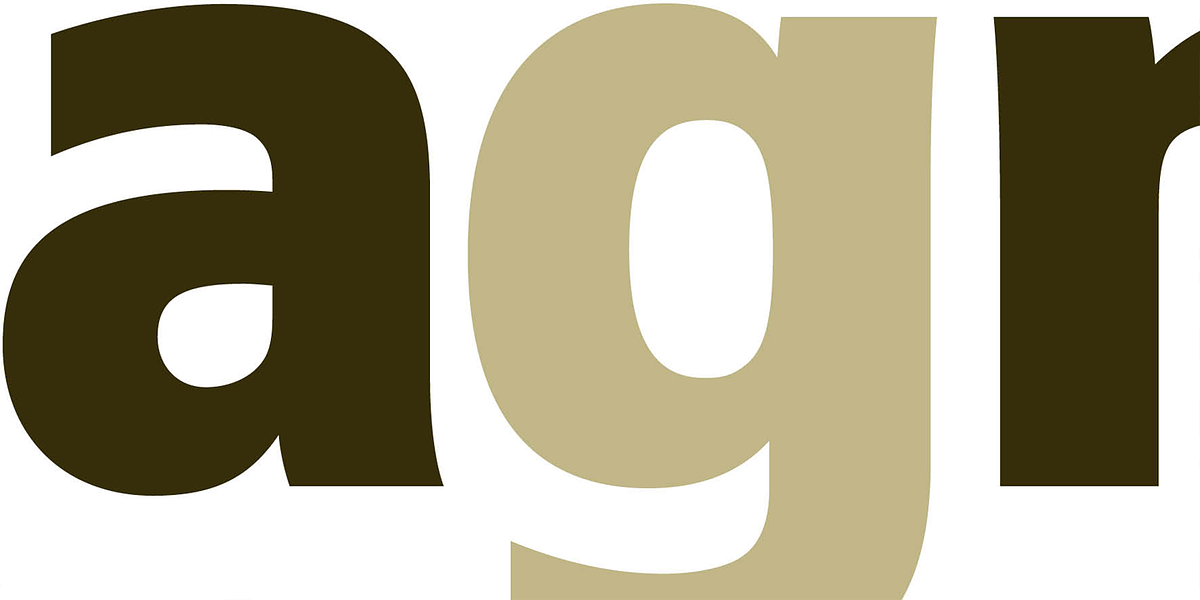 Epoca Pro, a Sans Serif Font by Hoftype (Photo 6 of 9)