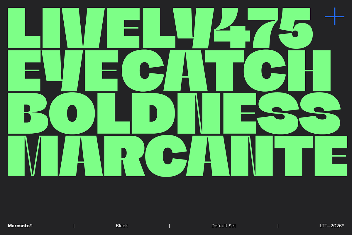 Marcante - Intro Family 60% off, a Sans Serif Font by Latinotype (Photo 4 of 17)