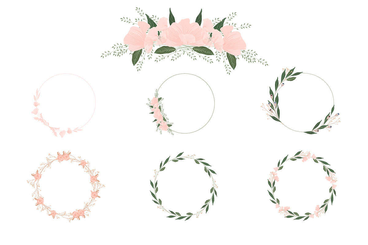 Blush Pink Flowers Poppies One Touch, an Illustration by MariiaVasilenko (Photo 2 of 10)