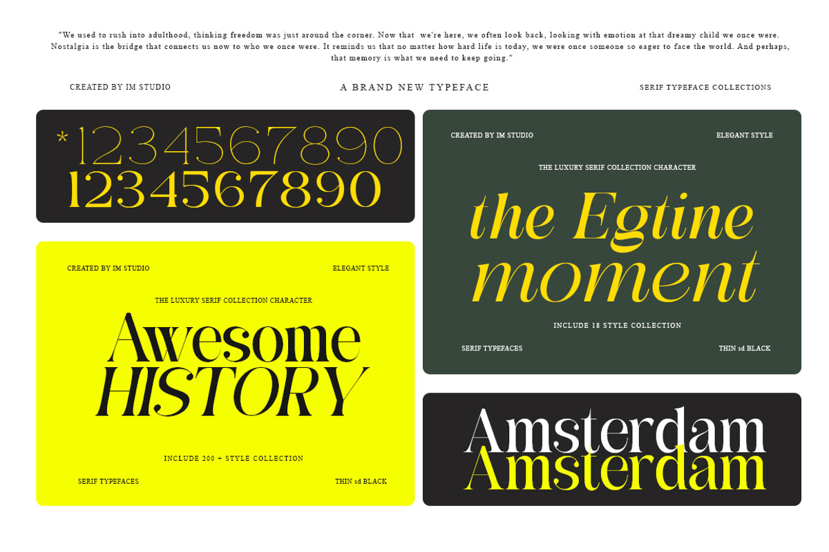 Galmiten | 243 Font Styles, a Serif Font by IM Studio (Photo 12 of 12)