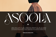 TIMELINE ACROSS - LUXURY FONT, a Serif Font by 177Studio (Thumbnail 2 of 8)