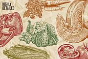 Fruits and Vegetables Illustrations, an Illustration by Heritage Type Co. (Thumbnail 4 of 8)