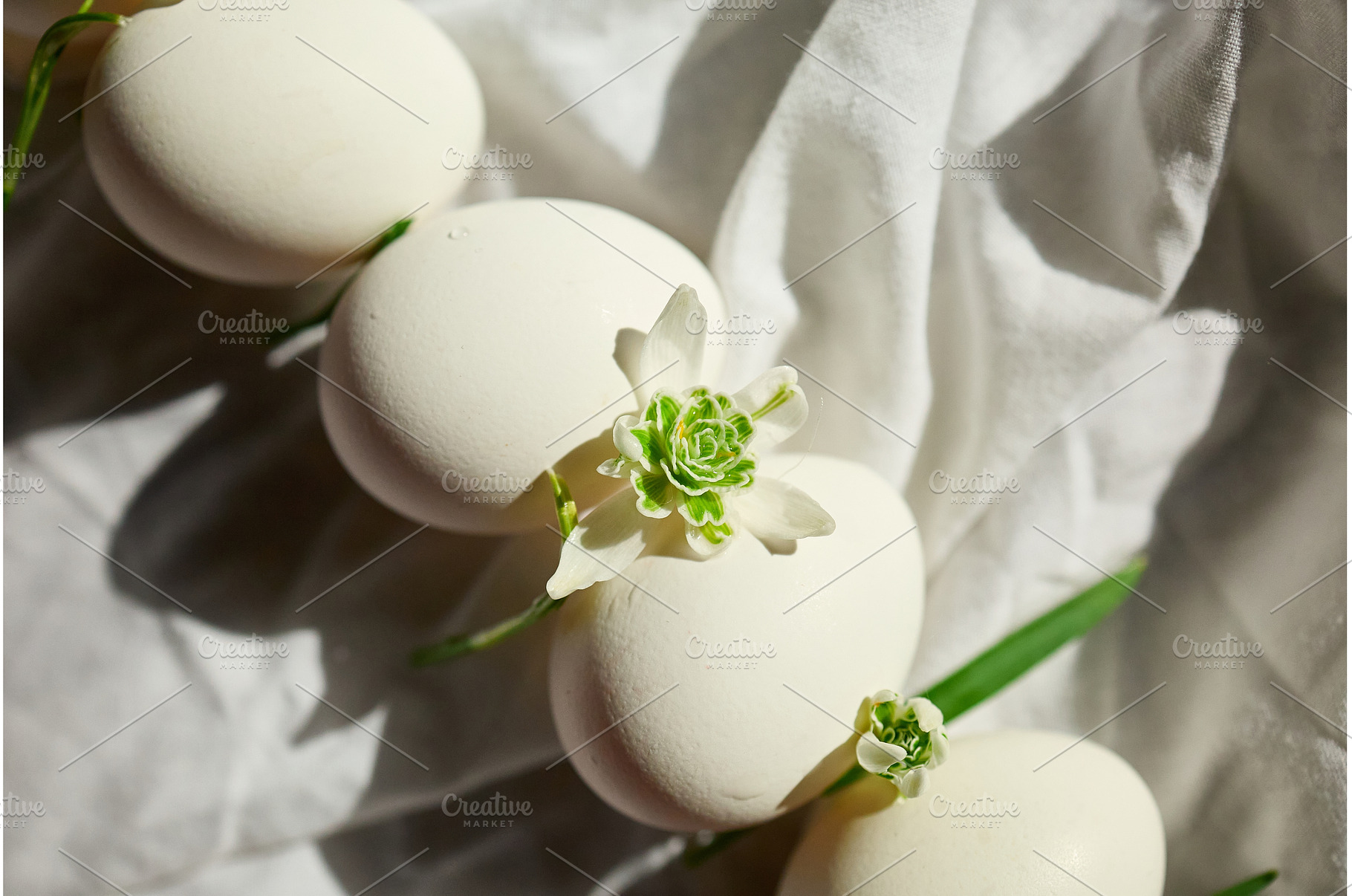 Eggs arranged with delicate flowers, a Nature Photo by IlliaBondarPhotography