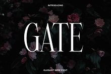 Gate - Modern Serif Font