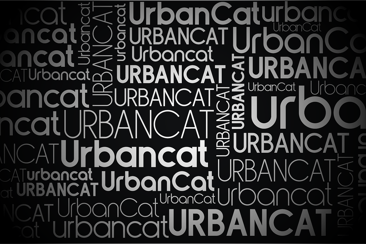 Urbancat Font Family, a Sans Serif Font by vlad.berla (Photo 7 of 11)