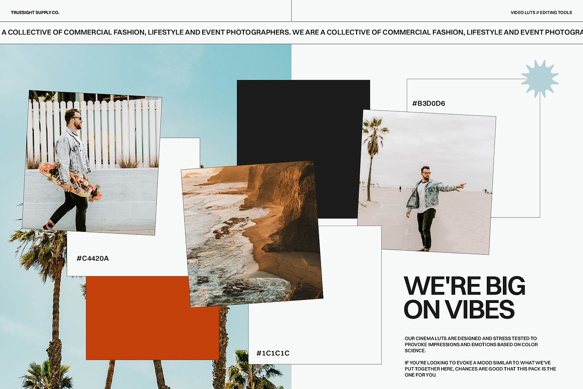Cali Vibes - Video LUTs, a Brushes & More by Truesight Supply Co. (Photo 3 of 6)