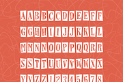 Horseshoes & Lemonade + Bonus Assets, a Serif Font by Lauren Ashpole (Thumbnail 6 of 7)
