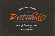 Dustyland Script, a Script Font by Letterhend Studio (Thumbnail 6 of 9)