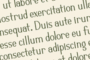 Gradonia -  Serif Typeface Font, a Serif Font by Rishsketch (Thumbnail 12 of 15)