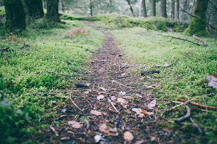 Goldstream Park preview 4