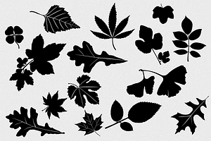 Leaves Vector Pack