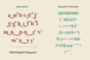 Brave Seasons - Modern Serif Font, a Serif Font by Font Liner (Thumbnail 13 of 14)