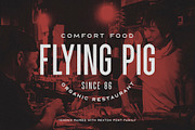 Parkson Sans Serif - 18 Fonts, a Sans Serif Font by Greg Nicholls (Thumbnail 8 of 9)