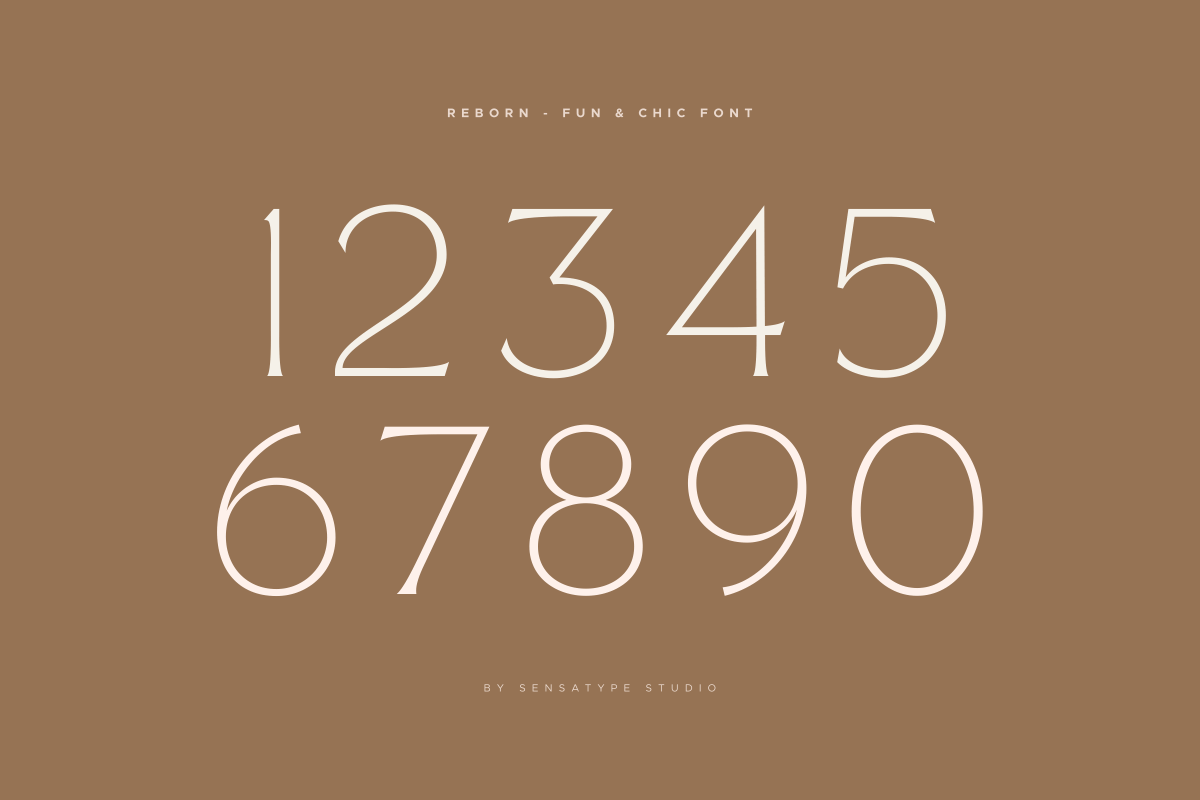 Reborn - Modern Chic Font, a Serif Font by Sensatype (Photo 13 of 16)