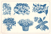 Vintage Flower Illustrations, a Decorative Illustration by Mr Vintage (Thumbnail 8 of 13)