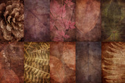 Faded Nature - Textured Backgrounds, a Background Graphic by Lidberia (Thumbnail 10 of 11)