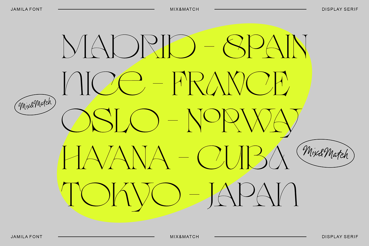 Jamila Stylist Display Serif, a Serif Font by RedyStudio (Photo 3 of 12)
