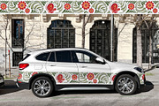 PETRYKIVKA - Ukranian folk art, an Illustration by Evgenia Pichkur (Thumbnail 10 of 15)