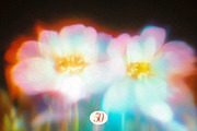 Mystic Haze: Floral Blur Backgrounds, a Background Graphic by Anzhelika (Thumbnail 5 of 12)