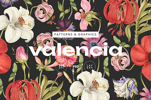 Valencia Elegant Floral Pattern