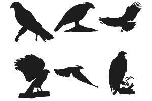 Eagle Silhouettes Set 1 Procreate