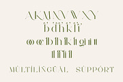 Megita - Beautiful Serif Font, a Serif Font by Aqeel_Art (Thumbnail 11 of 12)