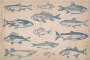 58 Vintage Hand Drawn Fish, a Food Illustration by Mr Vintage (Thumbnail 3 of 5)