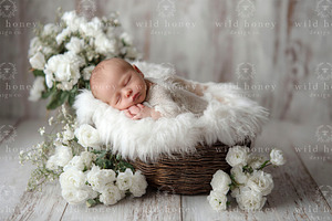 Newborn Basket Digital Backdrop