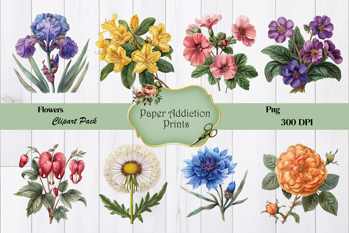 70 Flower Clipart Images, a Decorative Illustration by Paper Addiction Prints (Photo 5 of 10)