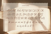 Amygost Handwritten Font, a Handwritten Font by Heinzel Std (Thumbnail 8 of 13)