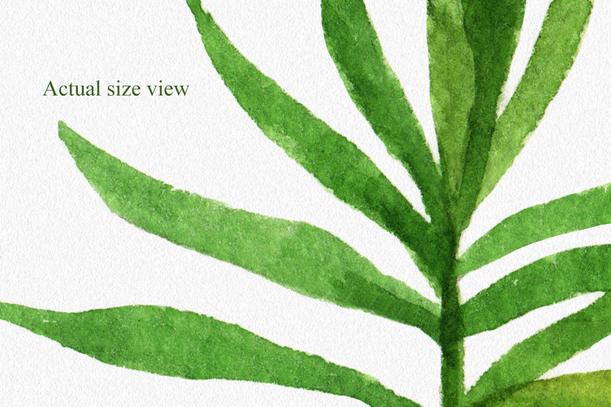 Watercolor Tropical Leaves, a Decorative Illustration by Chelovector (Photo 5 of 5)
